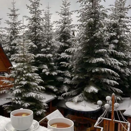 Stanka 003 Tátracsorba